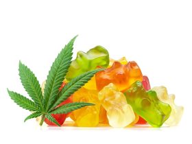 gummies